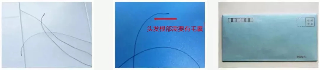 亲子鉴定,亲子鉴定采样,亲子鉴定需要什么样本,亲子鉴定如何采样
